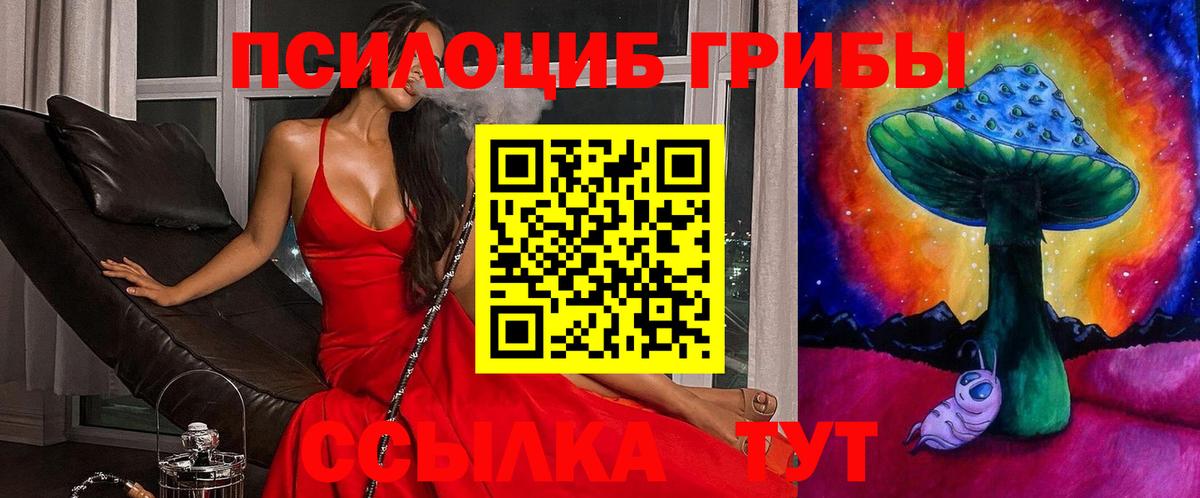 Каспийск  Псилоцибиновые грибы Psilocybine cubensis  Вход с VPN  Галлюциногенные грибы Cubensis 