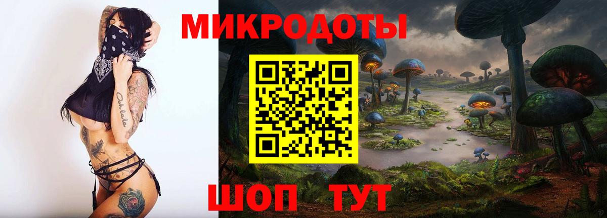 Псилоцибиновые грибы Psilocybe Каспийск
